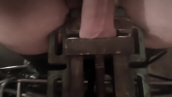 Testicle Torture With Clamps On Mobile